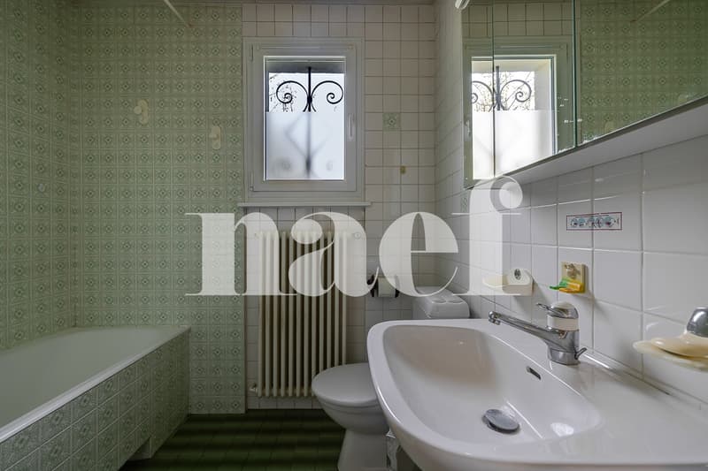 Charmante maison individuelle avec jardin (8)