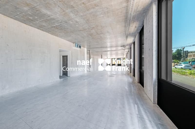 A saisir | Showroom de 228 m2 (4)