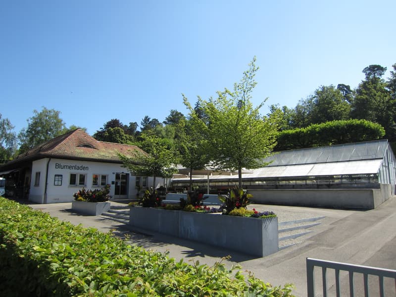 Blumenladen beim Friedhof Rosenberg in Winterthur - bietet viele Chancen (2)