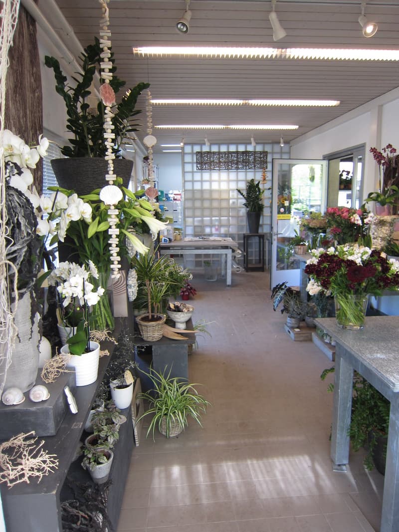 Blumenladen beim Friedhof Rosenberg in Winterthur - bietet viele Chancen (4)