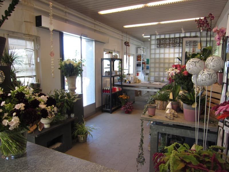 Blumenladen beim Friedhof Rosenberg in Winterthur - bietet viele Chancen (3)