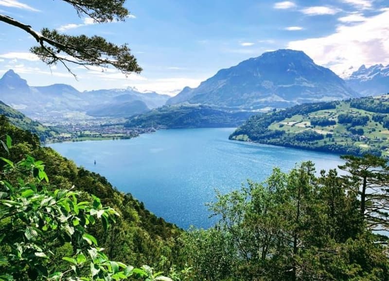 Parcelle de construction unique et grande avec projet de construction offrant une vue sur le lac des Quatre-Cantons (6)