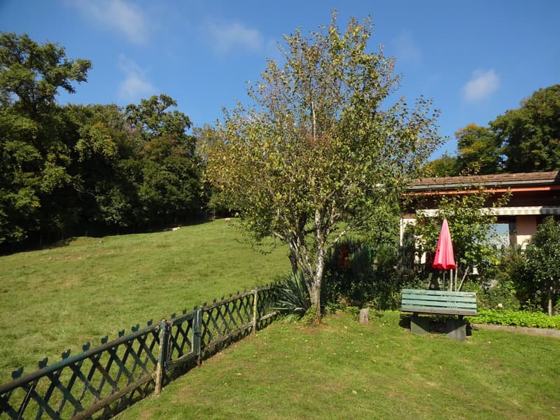 fenced garden, bench, tree, red umbrella, hills in the background, house