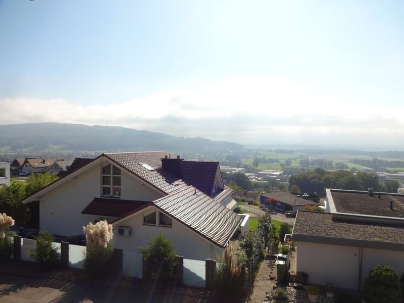 Two-story house with brown roof and white walls, garden, multiple windows, chimney, surrounded by trees and plants, with a view of the mountains and fields in the distance.