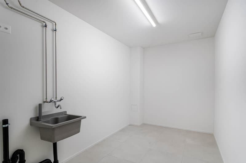 Exklusive und hochwertige 4.5-Zimmer-Terrassenwohnung - Ihr Traumdomizil mit Teilseesicht in Uerikon (14)