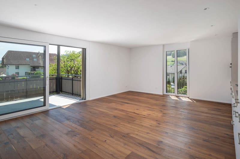 Erstklassige neuwertige Wohnung im schönen Reitnau zu vermieten (2)