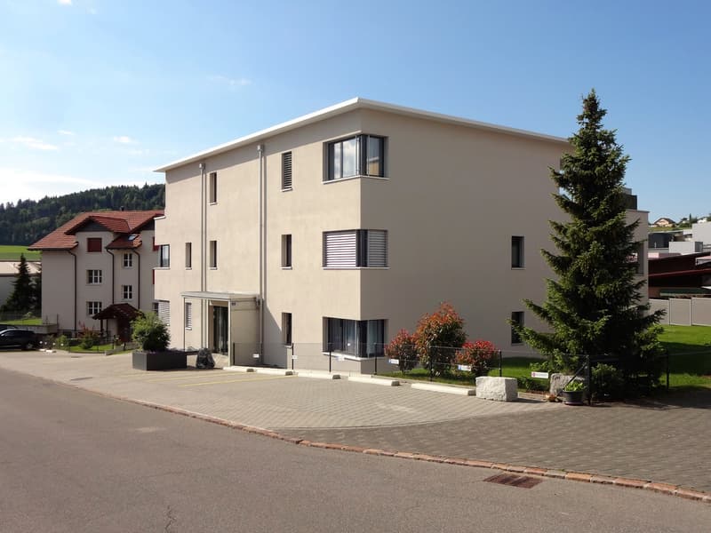Ab sofort Einstellhallenplatz in Rickenbach zu vermieten (3)