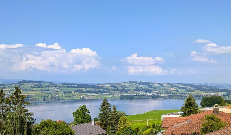 Exklusive Architektur - Luxuriöses Wohngefühl an überwältigender Lage | homegate.ch