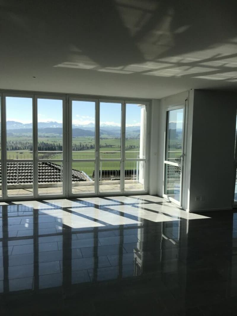 Exklusive Terrassenwohnung mit Blick in Natur und Berge (6)