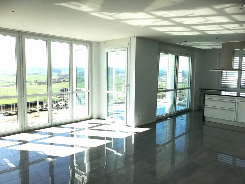 Exklusive Terrassenwohnung mit Blick in Natur und Berge (5)