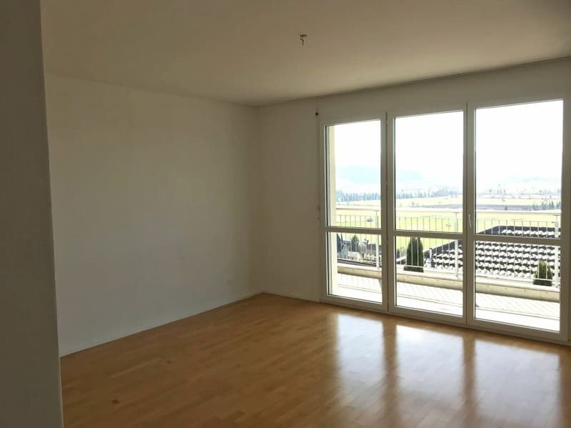 Exklusive Terrassenwohnung mit Blick in Natur und Berge (4)