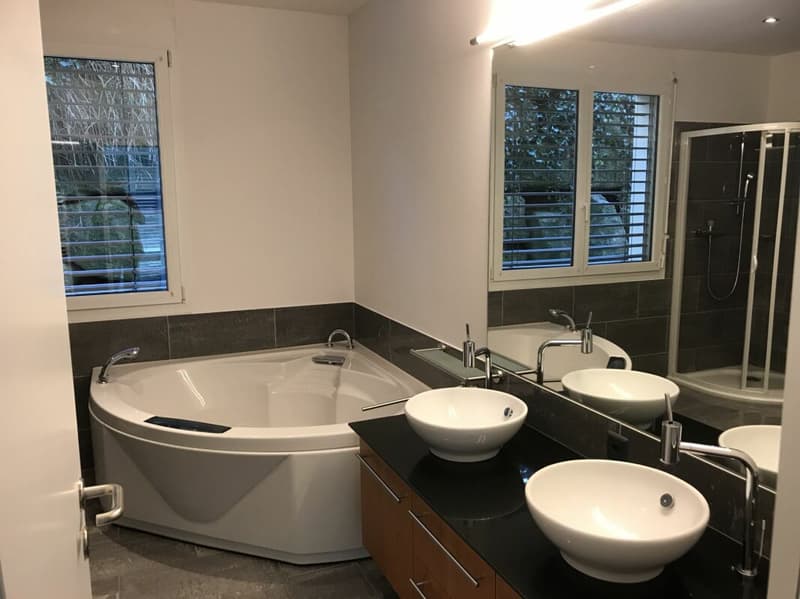 Exklusive Terrassenwohnung mit Blick in Natur und Berge (8)