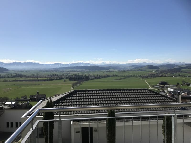 Exklusive Terrassenwohnung mit Blick in Natur und Berge (1)