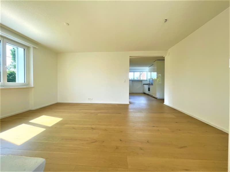 Moderne 6.5 Zimmer Wohnung an ruhiger und zentraler Lage in Buchs AG (2)