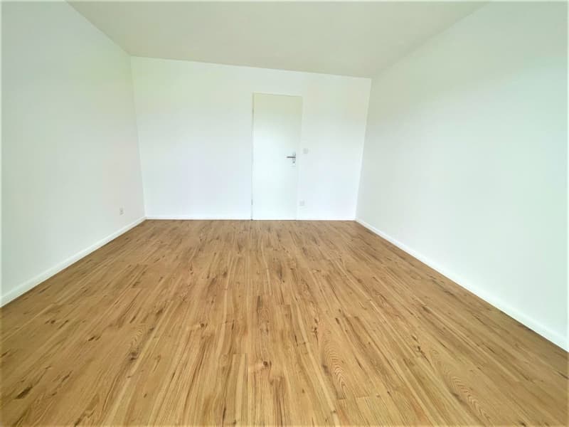 Preiswerte, grosszügige 4.5 Zimmer Wohnungen an Hanglage mit genialer Panoramasicht (2)