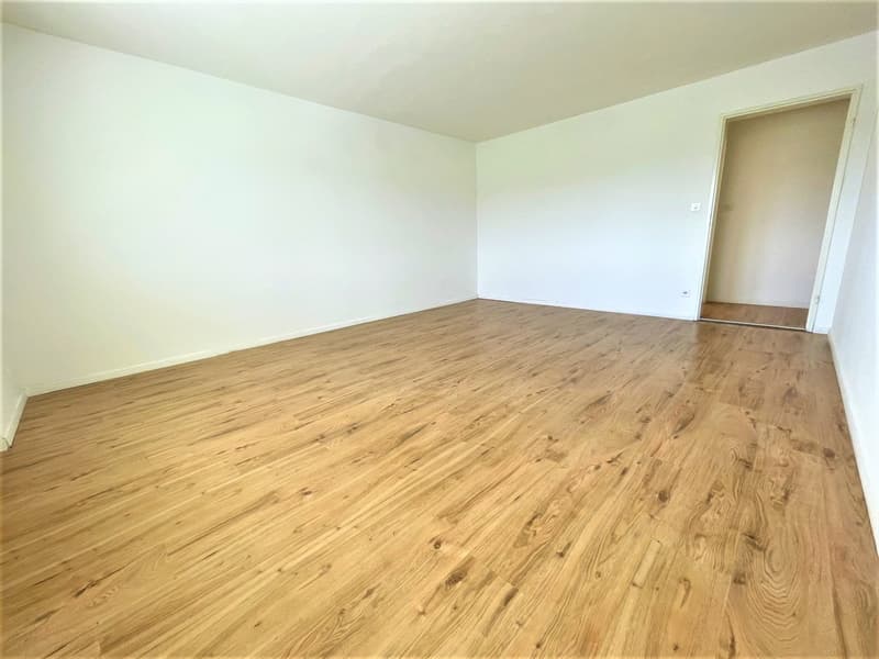 Preiswerte, grosszügige 4.5 Zimmer Wohnungen an Hanglage mit genialer Panoramasicht (4)
