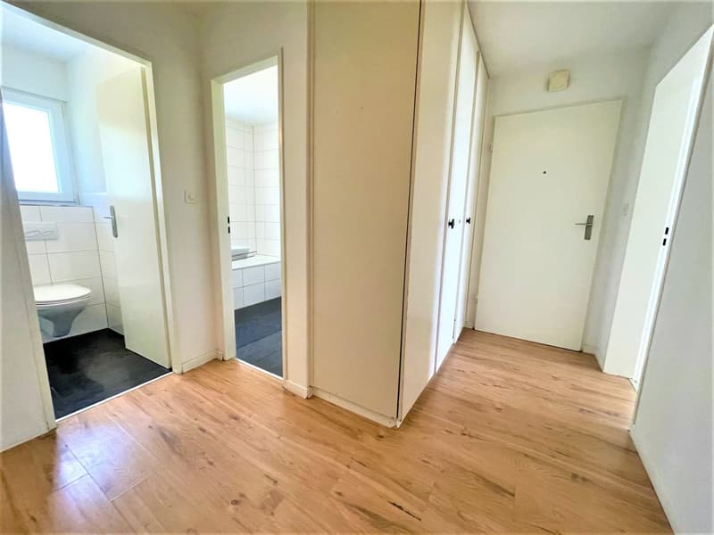 Preiswerte, grosszügige 4.5 Zimmer Wohnungen an Hanglage mit genialer Panoramasicht (7)