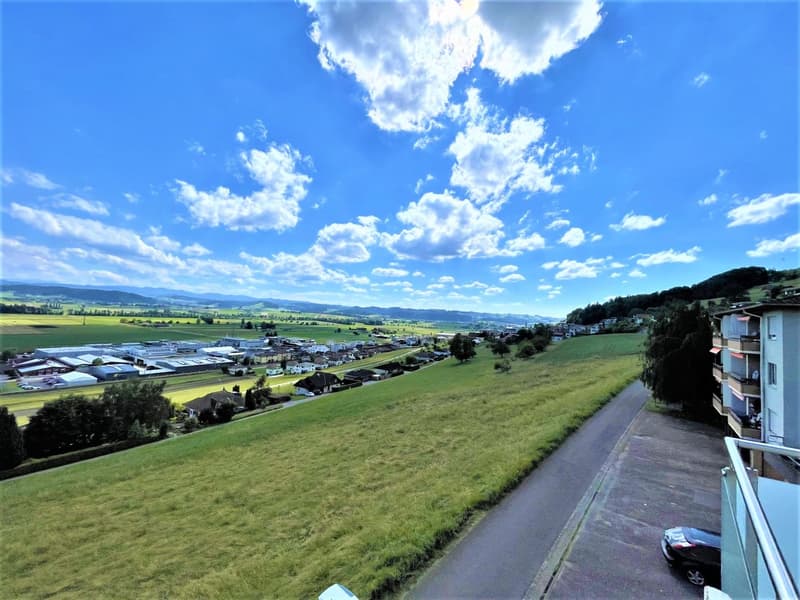 Preiswerte, grosszügige 4.5 Zimmer Wohnungen an Hanglage mit genialer Panoramasicht (17)