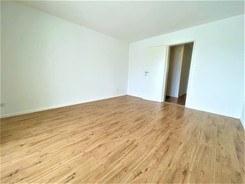 Preiswerte, grosszügige 4.5 Zimmer Wohnungen an Hanglage mit genialer Panoramasicht (3)