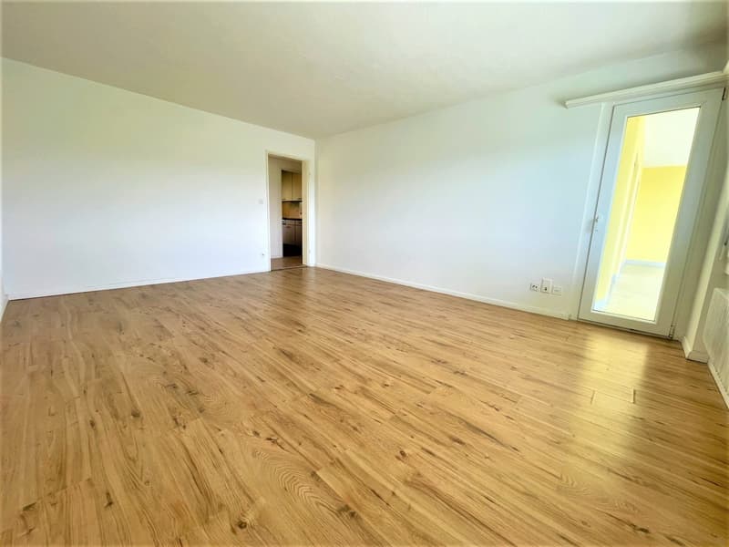Preiswerte, grosszügige 4.5 Zimmer Wohnungen an Hanglage mit genialer Panoramasicht (5)