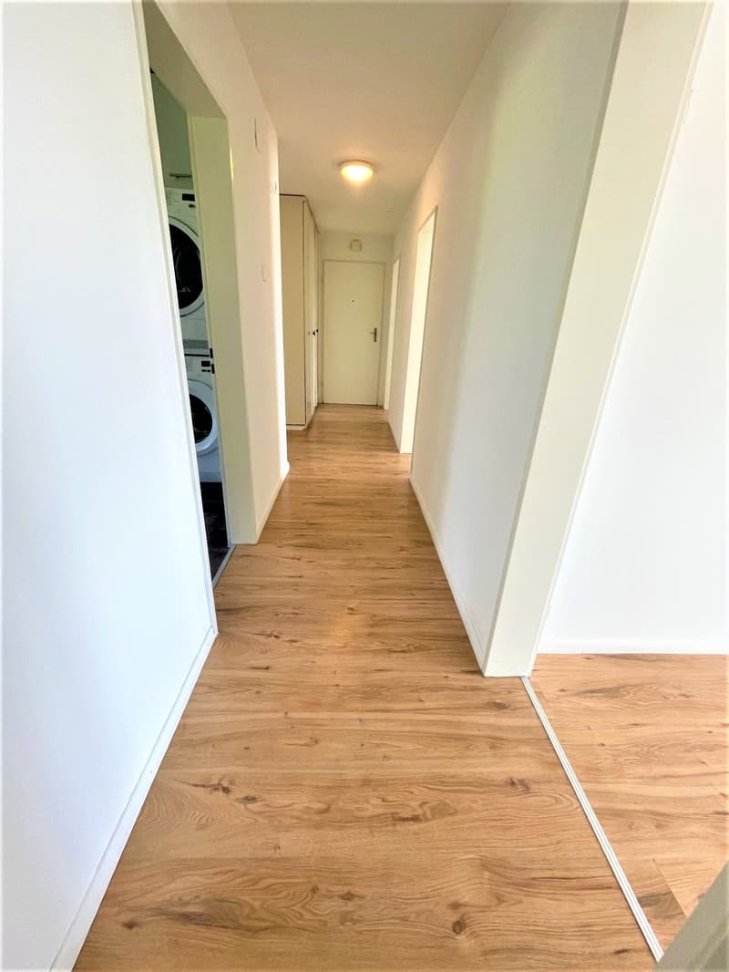 Preiswerte, grosszügige 4.5 Zimmer Wohnungen an Hanglage mit genialer Panoramasicht (6)