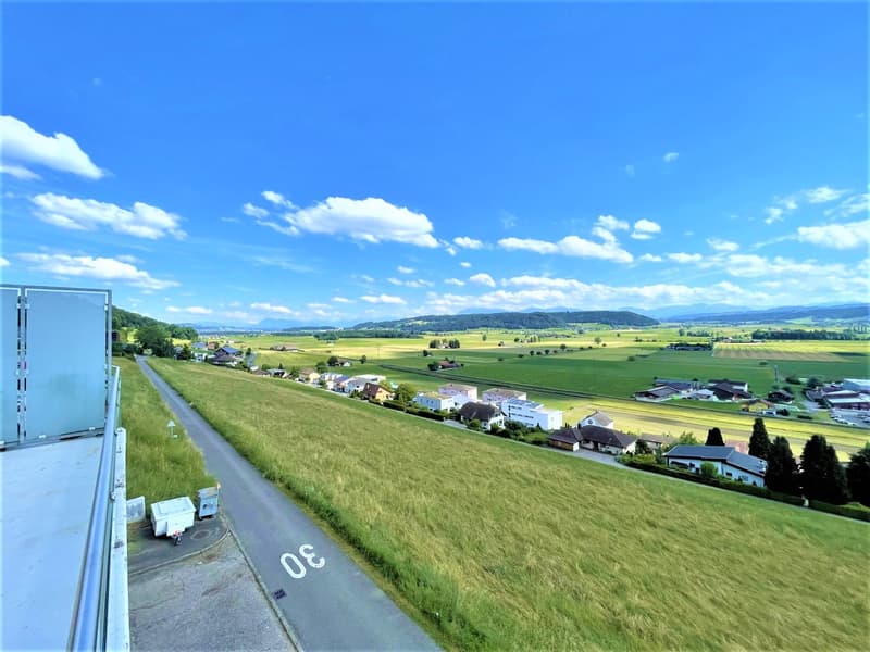 Preiswerte, grosszügige 4.5 Zimmer Wohnungen an Hanglage mit genialer Panoramasicht (15)