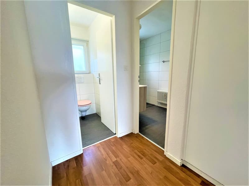 Preiswerte, grosszügige 4.5 Zimmer Wohnungen an Hanglage mit genialer Panoramasicht (10)