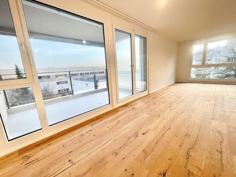 Neu sanierte 3.5 Zimmer Wohnungen mit privater Waschmaschine/Tumbler (21)