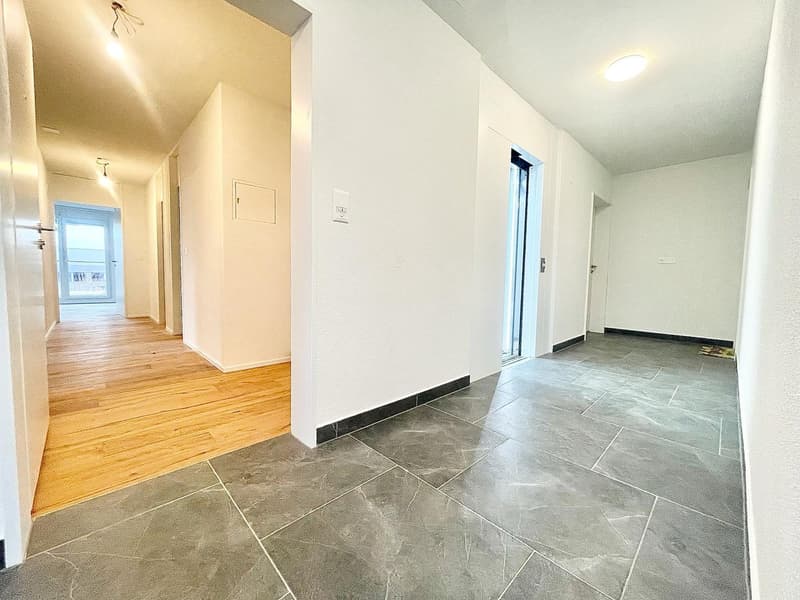 Neu sanierte 3.5 Zimmer Wohnungen mit privater Waschmaschine/Tumbler (24)