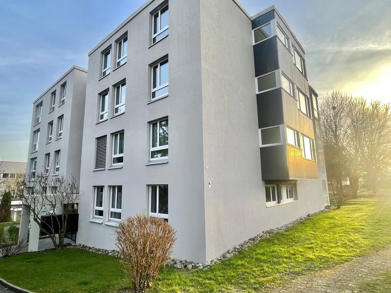 Neu sanierte 3.5 Zimmer Wohnungen mit privater Waschmaschine/Tumbler (43)