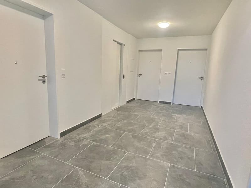 Neu sanierte 3.5 Zimmer Wohnungen mit privater Waschmaschine/Tumbler (34)