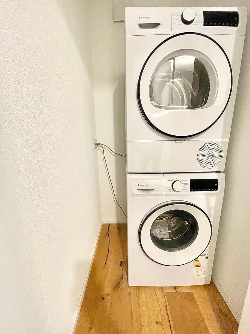 Neu sanierte 3.5 Zimmer Wohnungen mit privater Waschmaschine/Tumbler (30)
