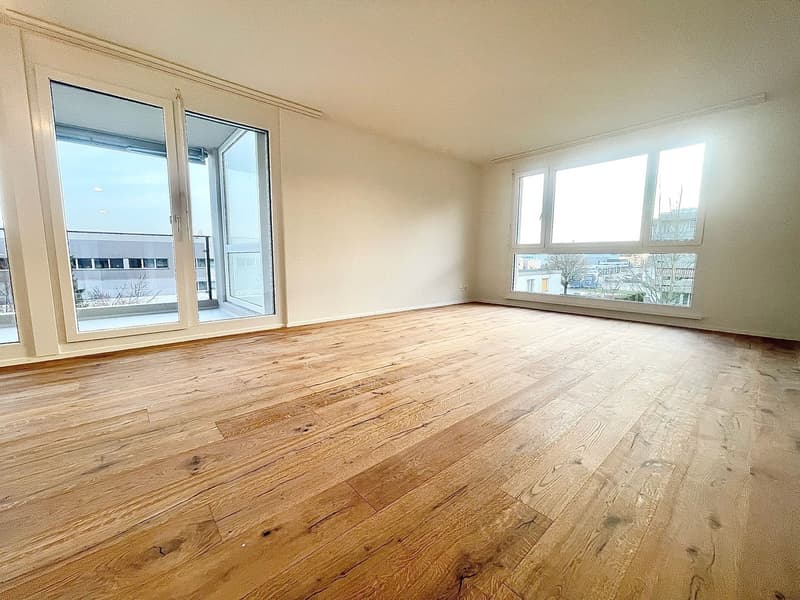 Neu sanierte 3.5 Zimmer Wohnungen mit privater Waschmaschine/Tumbler (20)