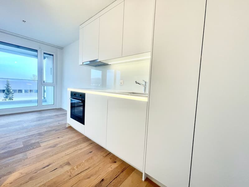 modern kitchen with white cabinets, wooden floor, large window, oven, sink, faucet