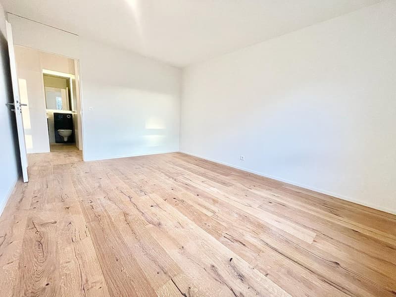 Neu sanierte 3.5 Zimmer Wohnungen mit privater Waschmaschine/Tumbler (19)