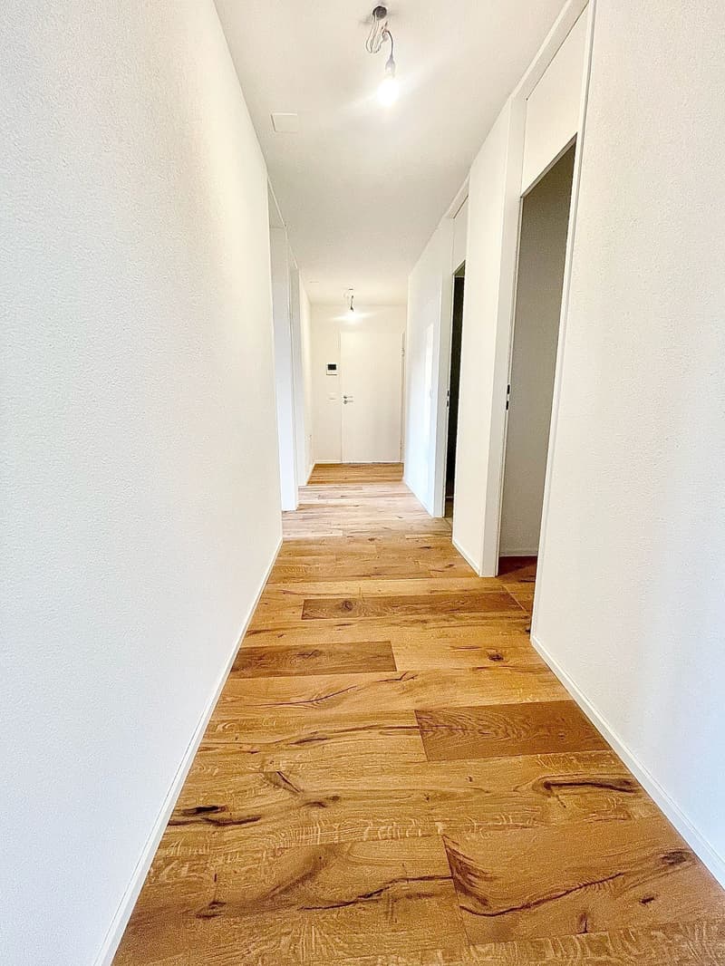 Neu sanierte 3.5 Zimmer Wohnungen mit privater Waschmaschine/Tumbler (23)