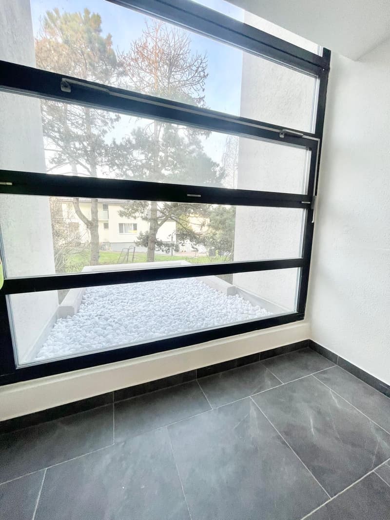 Neu sanierte 3.5 Zimmer Wohnungen mit privater Waschmaschine/Tumbler (33)