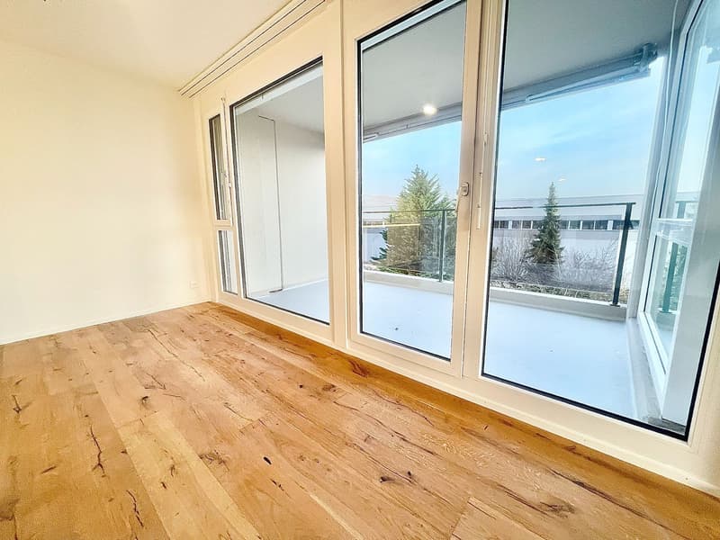 Neu sanierte 3.5 Zimmer Wohnungen mit privater Waschmaschine/Tumbler (22)