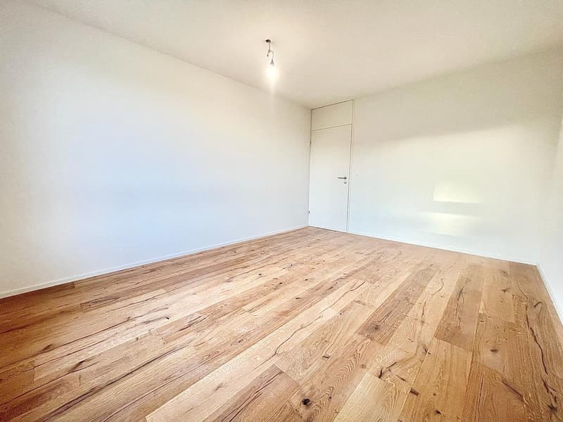 empty room, hardwood floors, white walls, white door, ceiling light