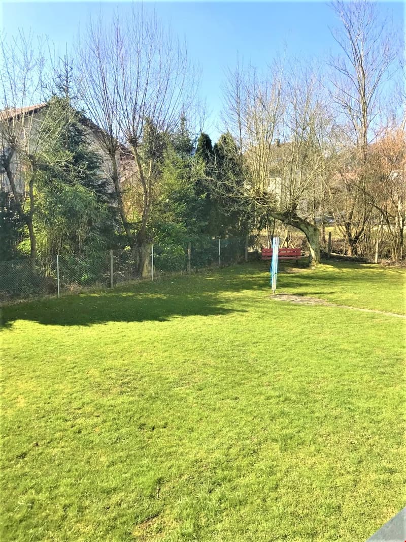Wide green lawn, trees, red bench, fence
