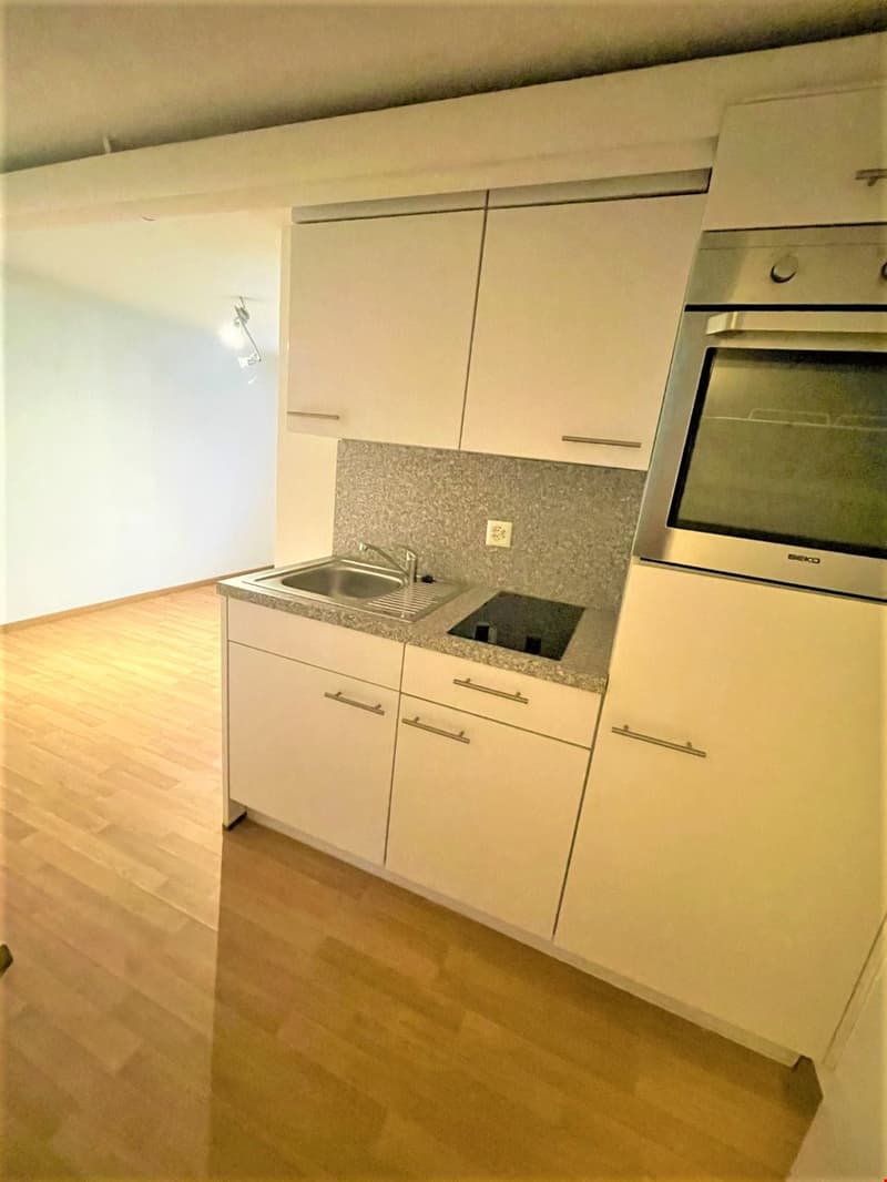 Modern kitchen, fully equipped with white cabinets, wooden floor, stainless steel sink, oven, induction hob, light on ceiling.