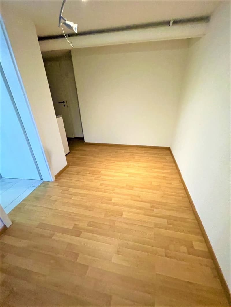 wooden floor, empty room, white walls, a door in the middle