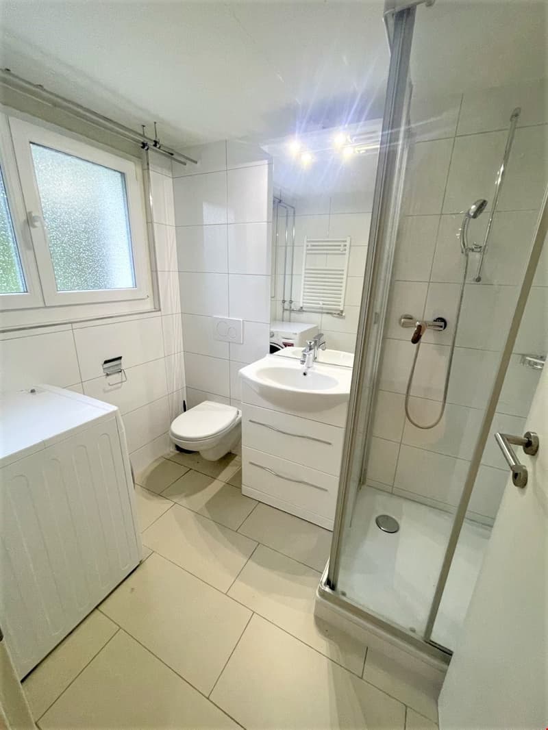 white tiles, toilet, shower, sink, cabinet, washing machine, window