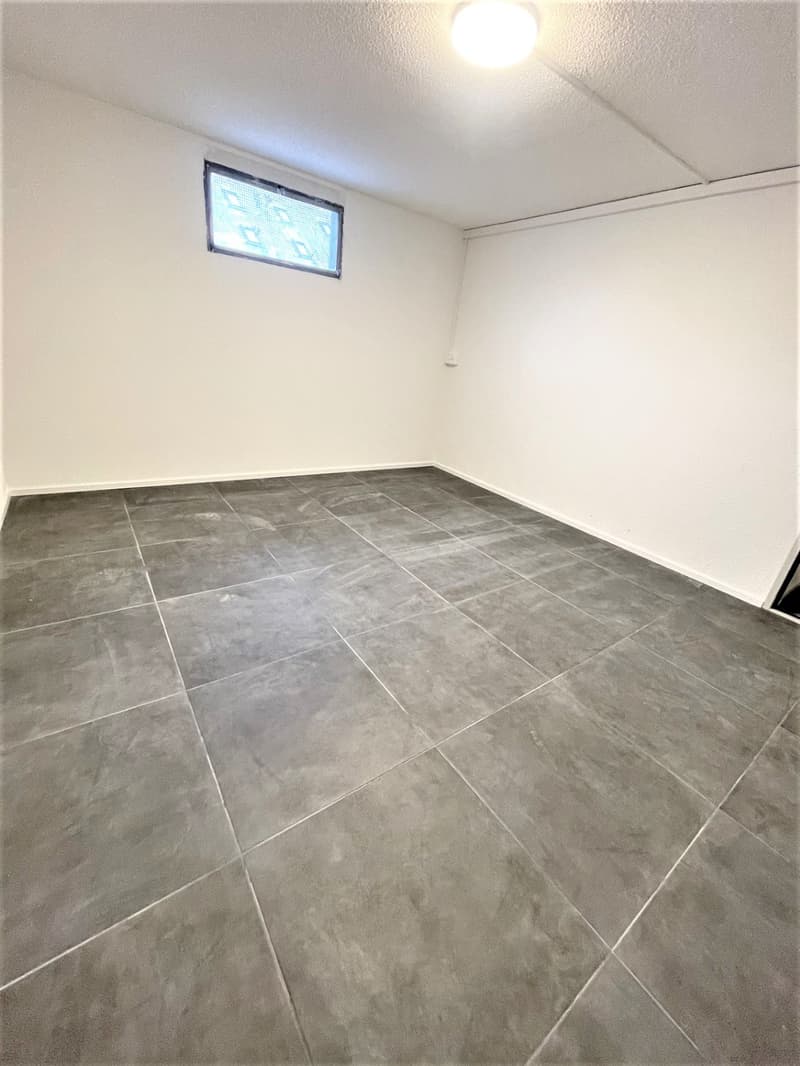 TOP MODERNE HOBBYRÄUME IN NEBIKON ZU VERMIETEN (2)