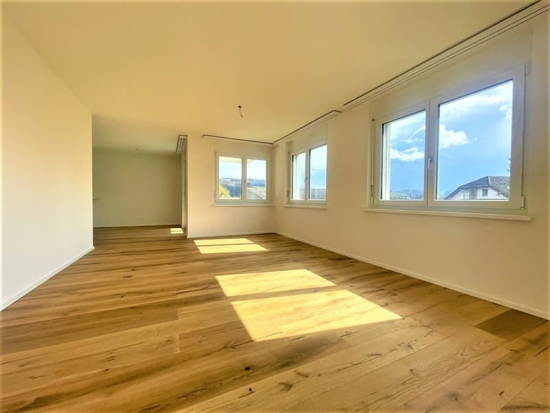 TOP MODERNE 3.5 ZIMMER WOHNUNGEN IN NÄHE LENZBURG ZU VERMIETEN (4)