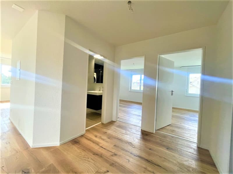 TOP MODERNE 3.5 ZIMMER WOHNUNGEN IN NÄHE LENZBURG ZU VERMIETEN (12)