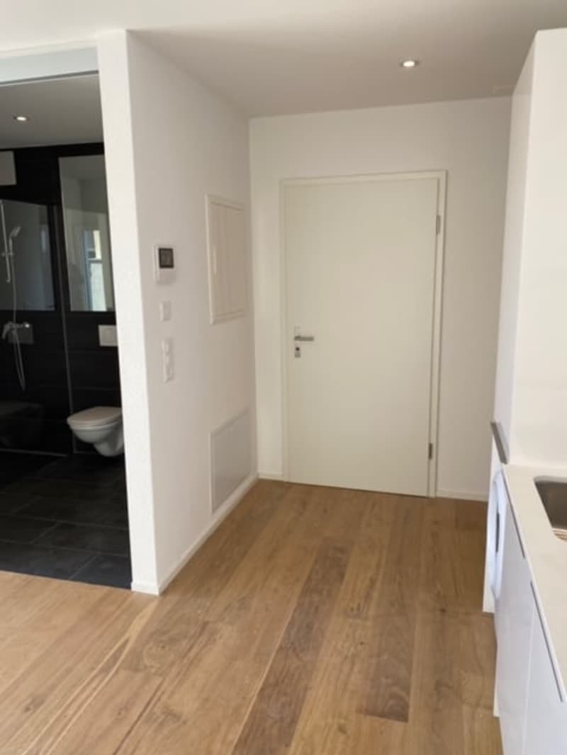 Schöne 1.5 Zimmer Wohnungen mit Aussicht (2)