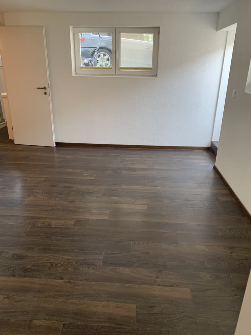 Moderne 2 - Zimmer - Wohnung mit grossem Sitzplatz zentral in Wauwil (6)
