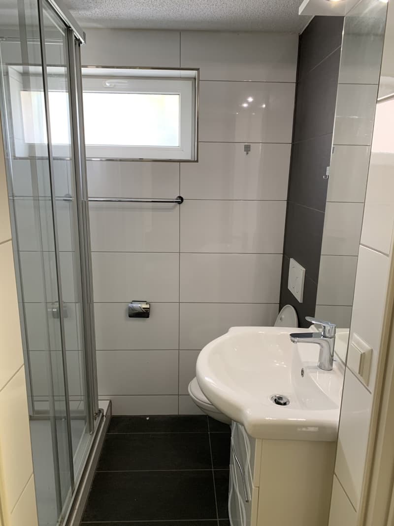 Moderne 2 - Zimmer - Wohnung mit grossem Sitzplatz zentral in Wauwil (2)