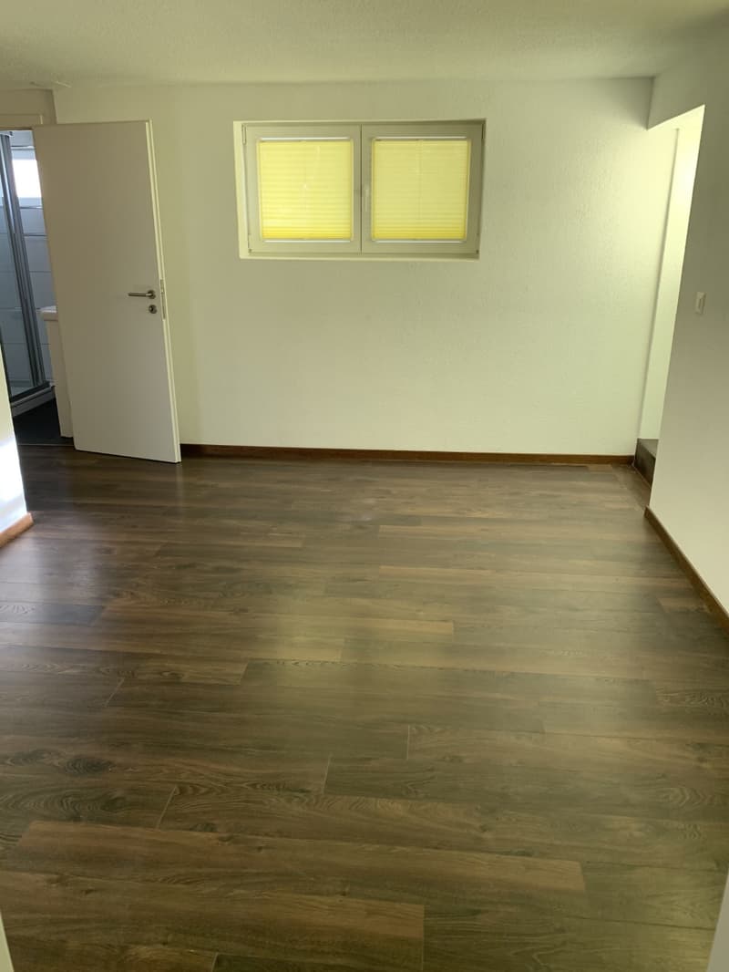 Moderne 2 - Zimmer - Wohnung mit grossem Sitzplatz zentral in Wauwil (5)